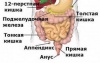 Обследование на паразитов.
