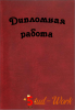 Дипломные работы